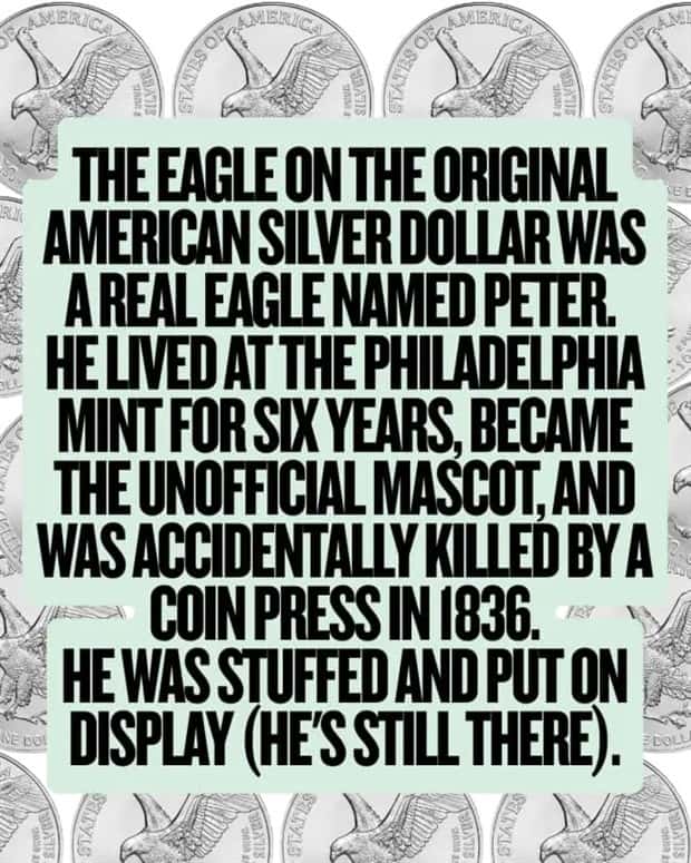 money facts (8)