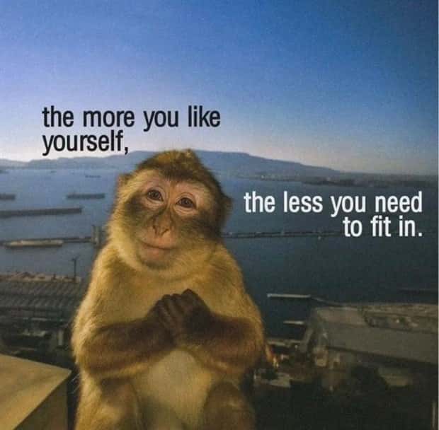 motivational quotes (20)
