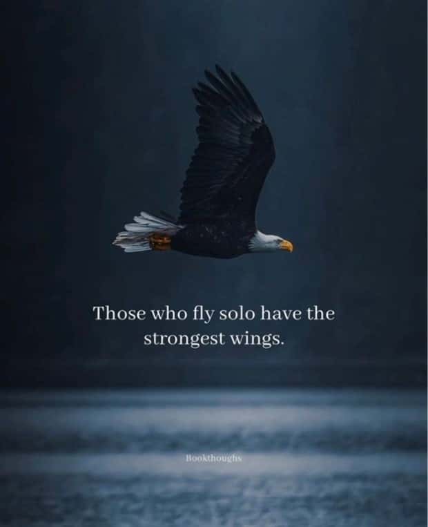 motivational quotes (20)