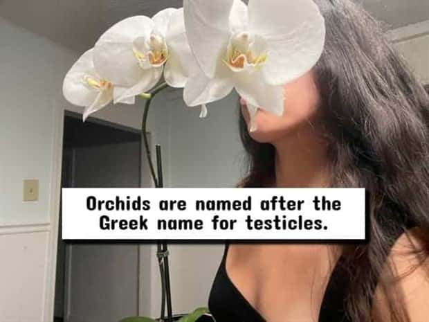 nsfw facts 13 Wild NSFW Facts Unfit For Family Gatherings (17 photos)