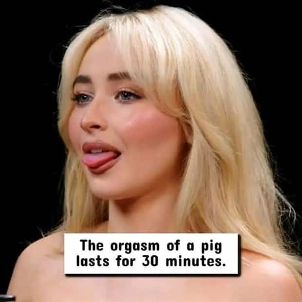 nsfw facts 2 Wild NSFW Facts Unfit For Family Gatherings (17 photos)