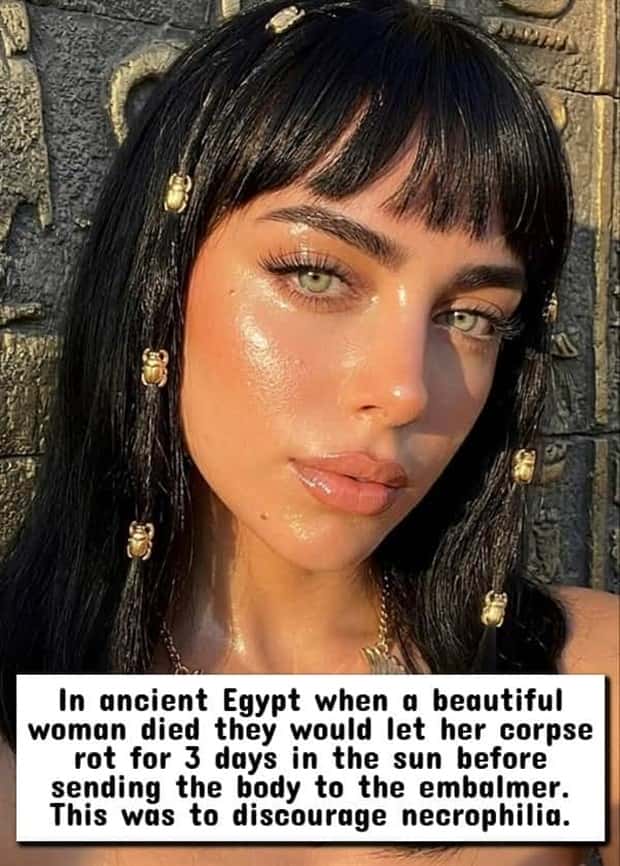 nsfw facts 3 Wild NSFW Facts Unfit For Family Gatherings (17 photos)
