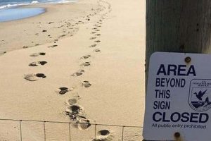 These People Play By Their Own Rules (20 photos)