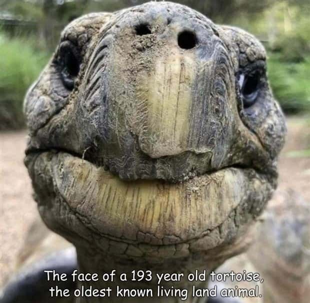 pictures with captions (2)