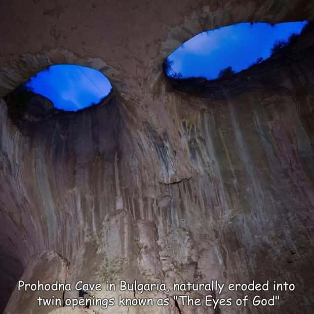 pictures with captions (2)