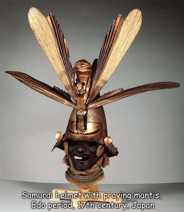 pictures with captions (4)