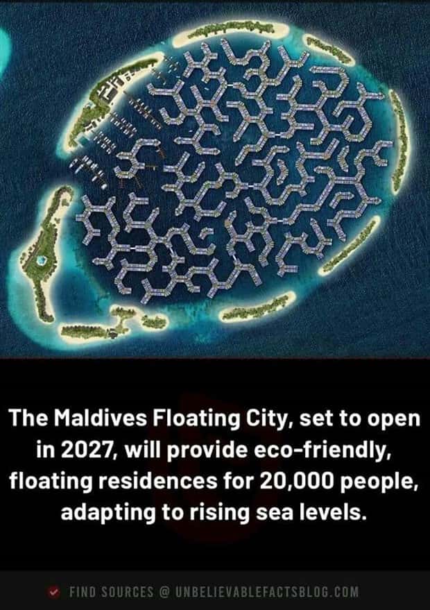 random but interesting facts (1)