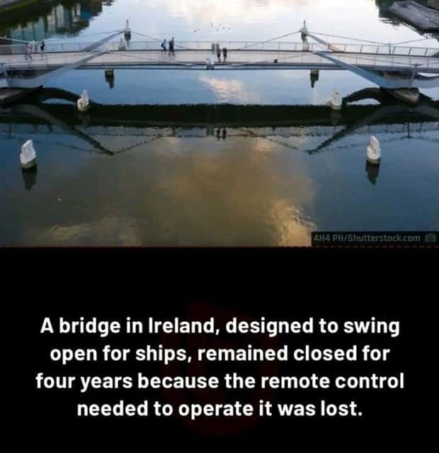 random but interesting facts (11)