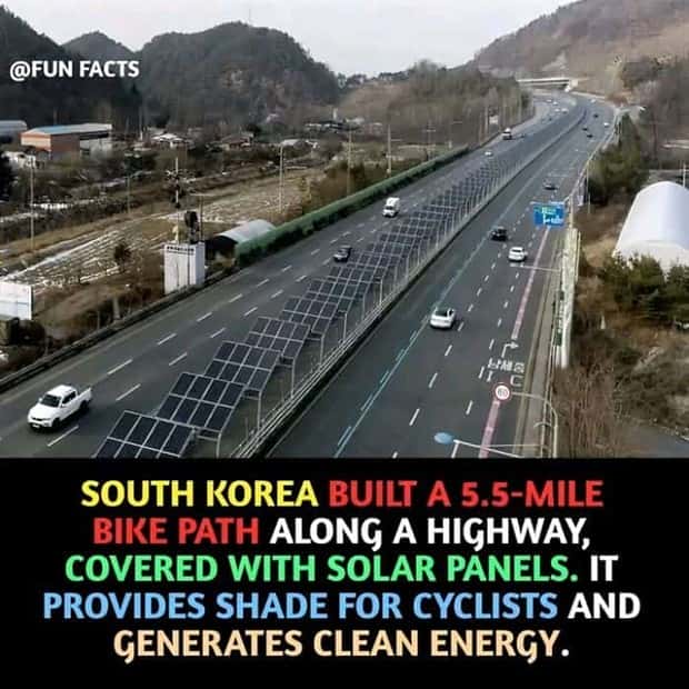 random but interesting facts (12)