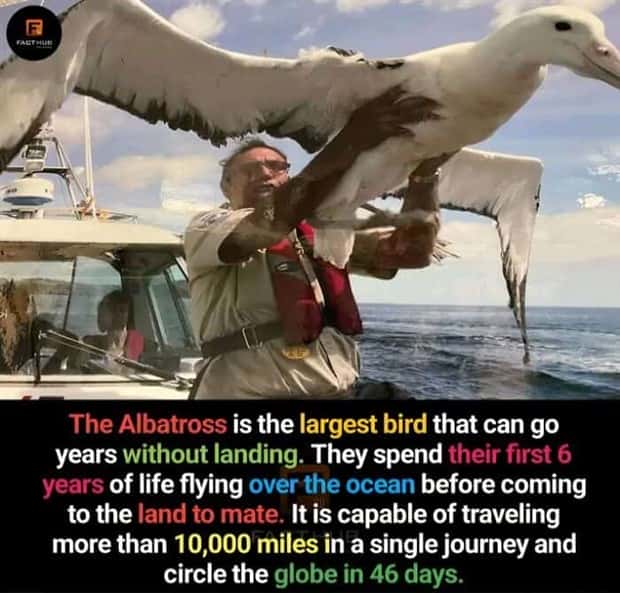 random but interesting facts (14)