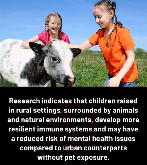 random but interesting facts (16)