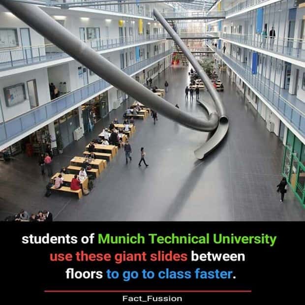random but interesting facts (17)