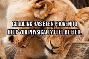 Cool and Interesting Facts #495 (19 photos)
