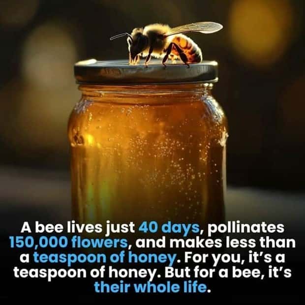 random but interesting facts (3)