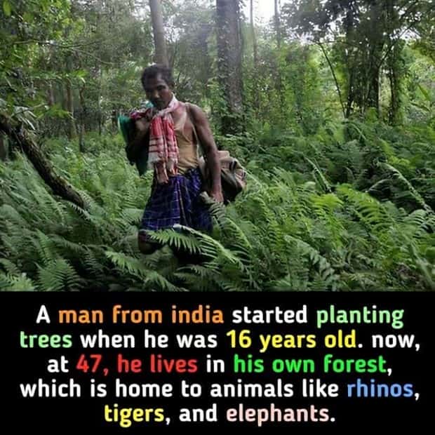 random but interesting facts (5)