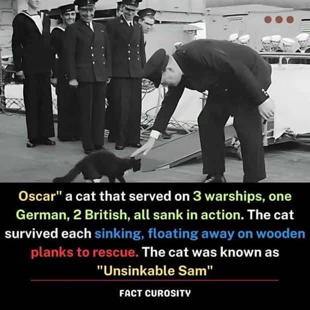random but interesting facts (9)