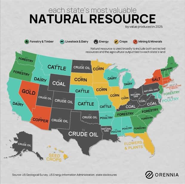 random charts and maps (4)