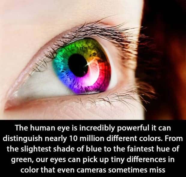 random fun facts (10)