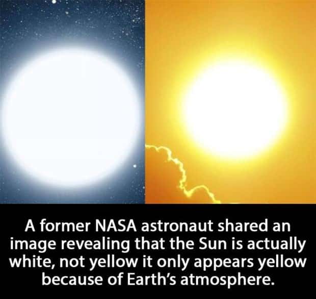 random fun facts (11)