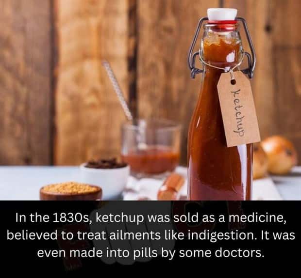 random fun facts (12)