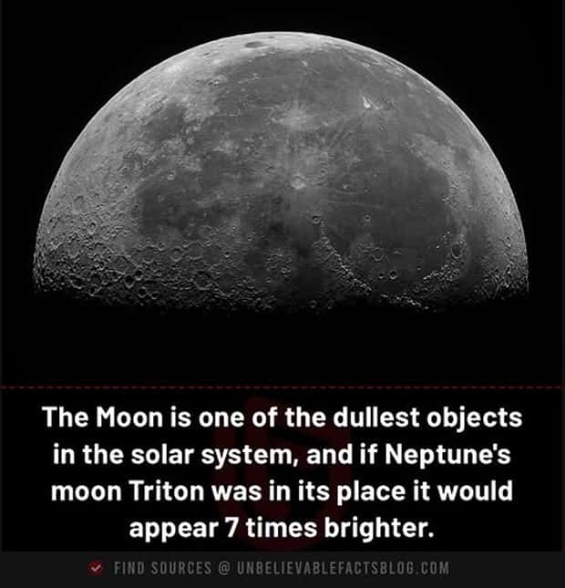 random fun facts (16)