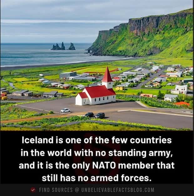 random fun facts (17)