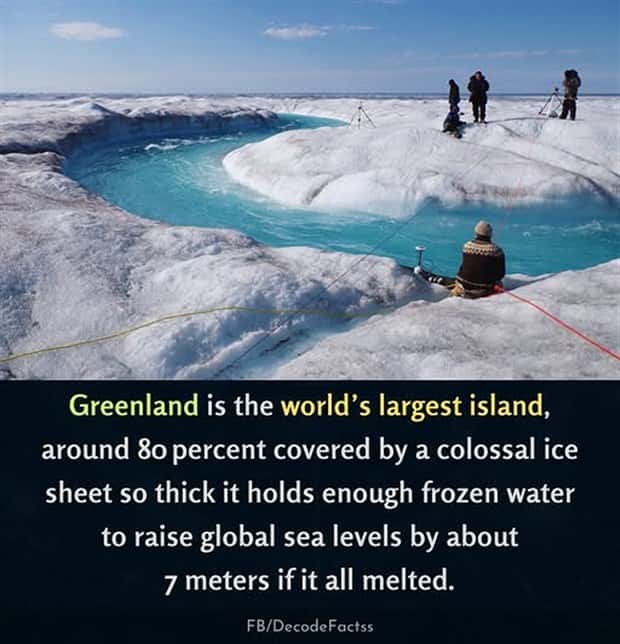 random fun facts (18)