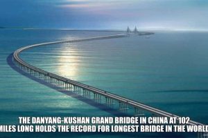 Cool and Interesting Facts #496 (18 photos)