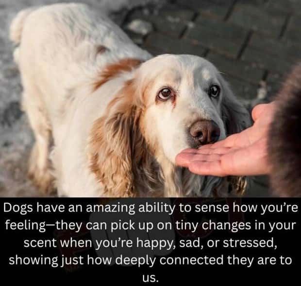 random fun facts (3)