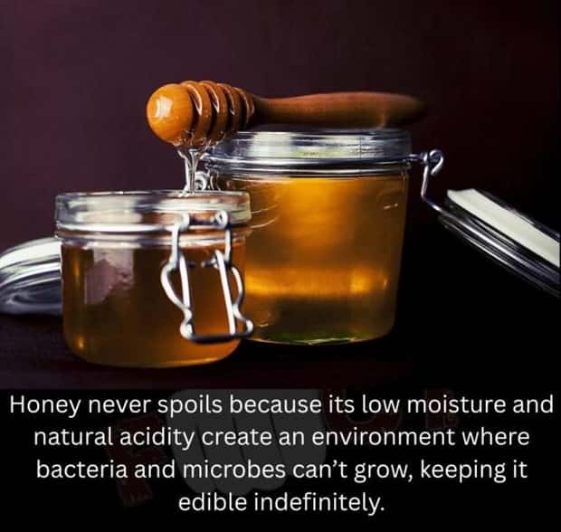 random fun facts (4)