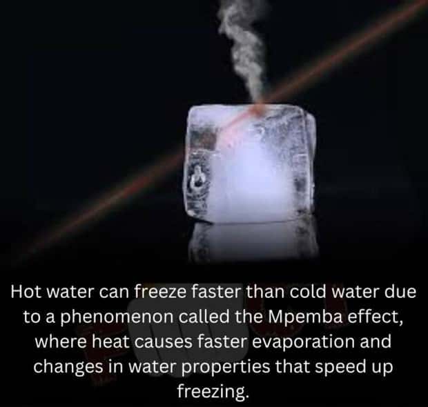 random fun facts (5)