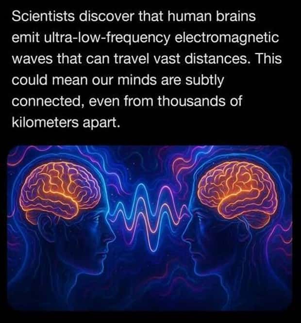 random fun facts (6)