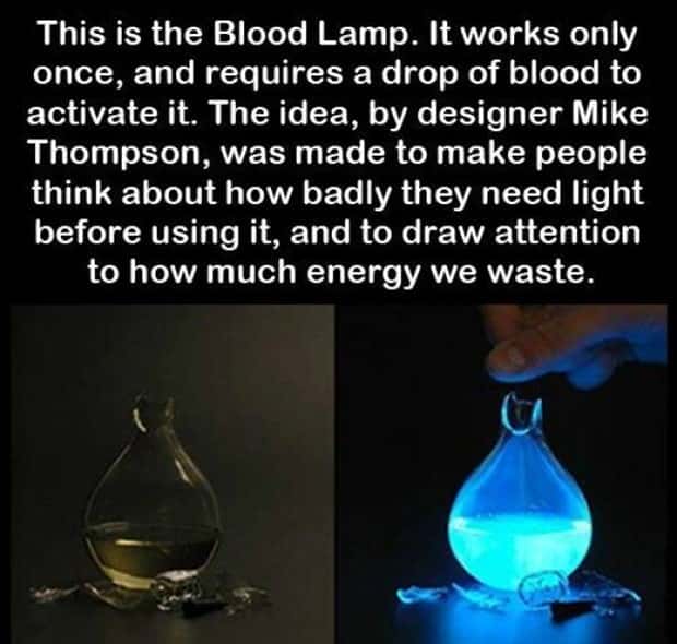 random fun facts (7)