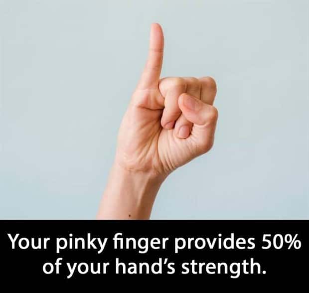 random fun facts (8)