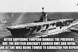 Cool and Interesting Facts #493 (23 photos)