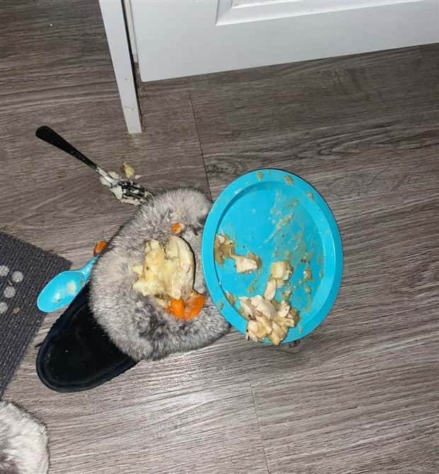 shit happens (13)