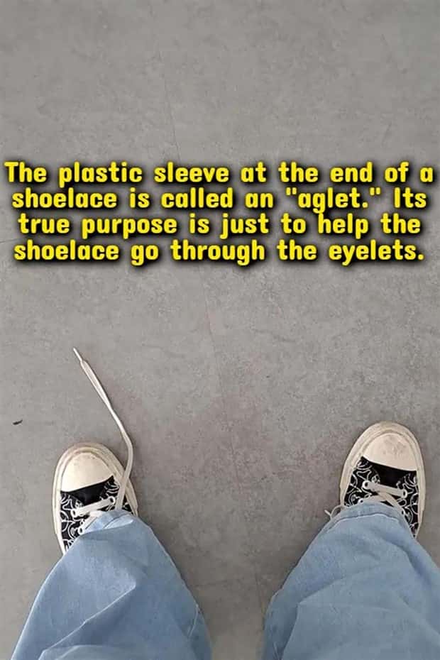 shower thoughts 15 Funny Shower Thoughts That Sound Smart #218 (18 photos)