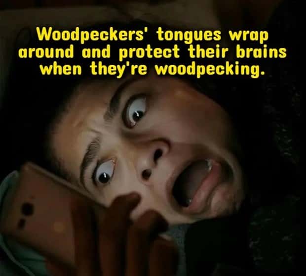 shower thoughts 17 Funny Shower Thoughts That Sound Smart #218 (18 photos)