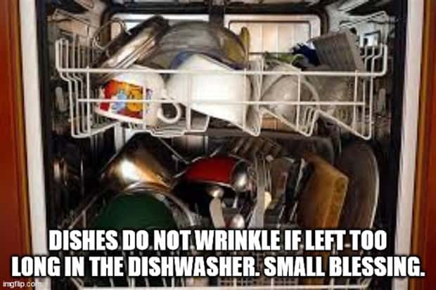 shower thoughts (20)