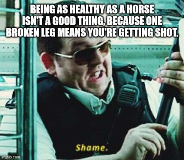 shower thoughts (4)