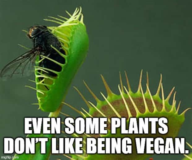 shower thoughts (9)
