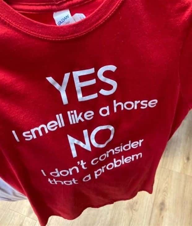 strange thrift store things (13)