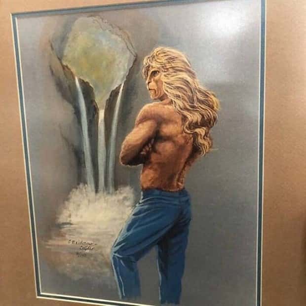 strange thrift store things (14)