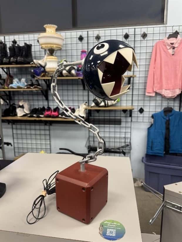 strange thrift store things (15)