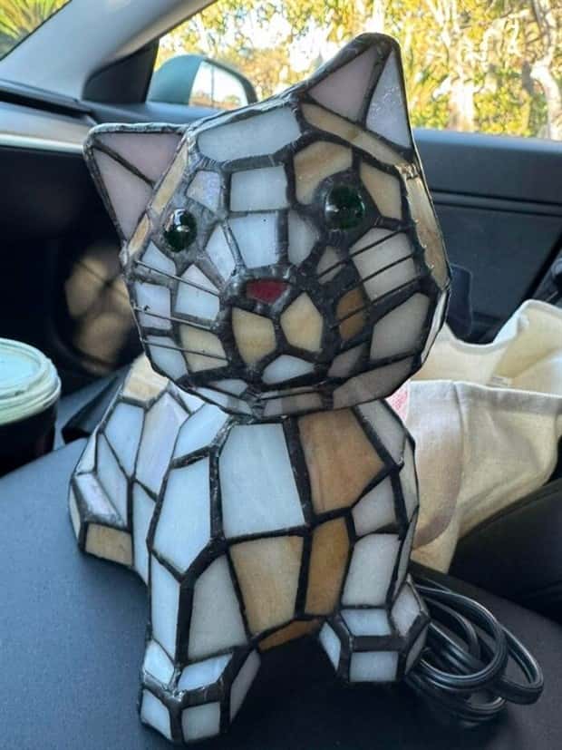 strange thrift store things (16)