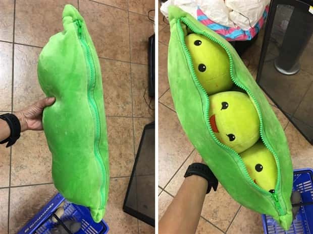 strange thrift store things (2)
