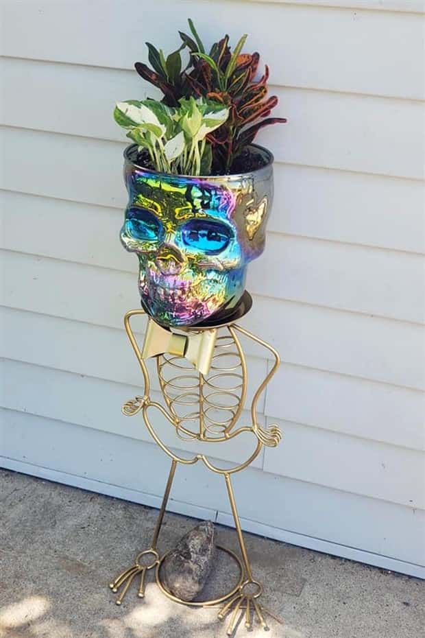 strange thrift store things (4)
