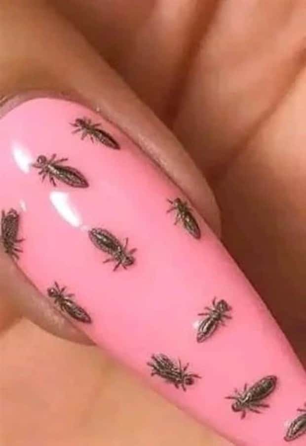 unsettling images (16)