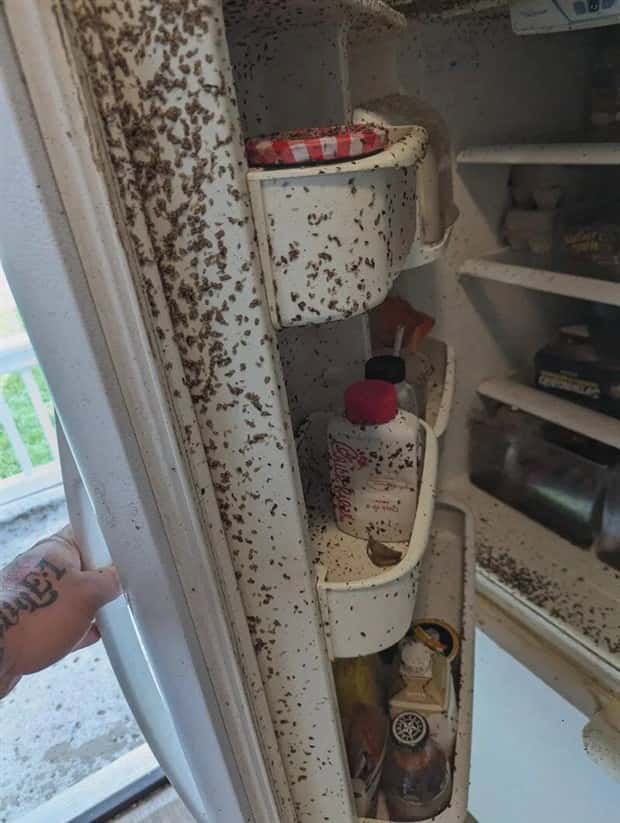 unsettling images (20)