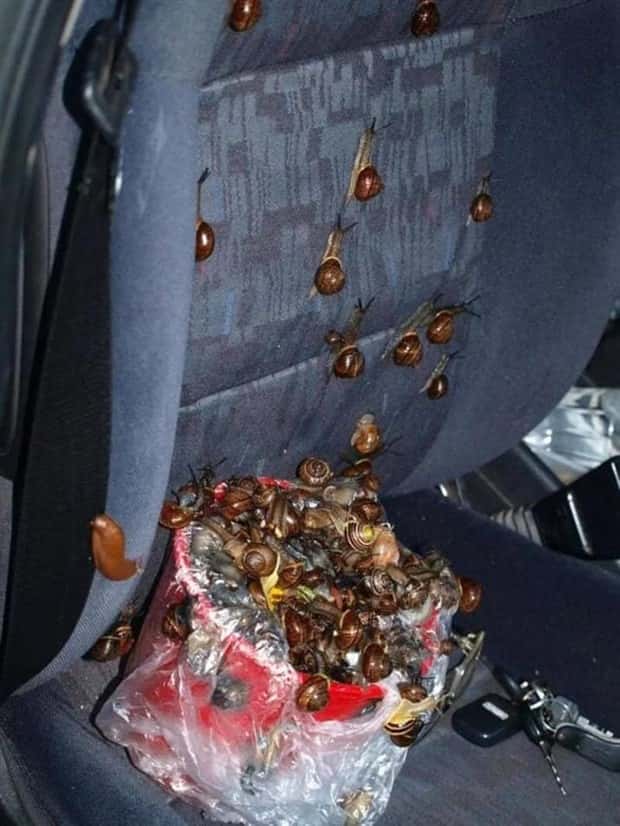 unsettling images (21)